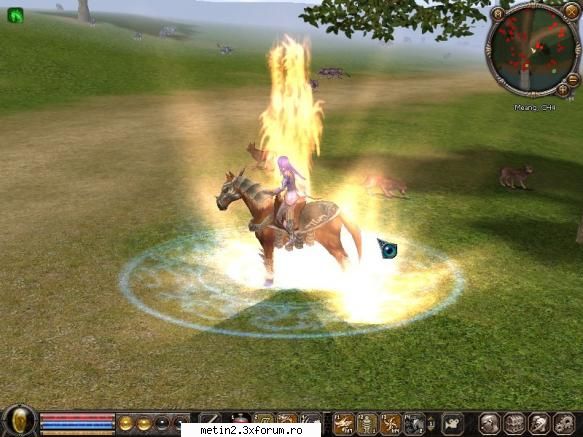 Mitsura :X (Shaman,Metin2UK) - mda pai nam inel de exp:)) metin2uk shi - Despre caracterul tau