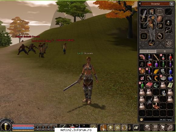 Skyware - Razboinica :) - Server: Virgo Regat: Shinsoo Caracter: Razboinica - Despre caracterul tau